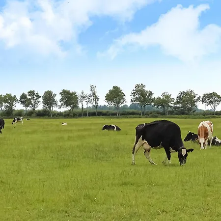 度假居 Gorgeous In With Kitchen *