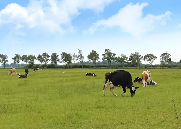 度假居 Gorgeous In With Kitchen *